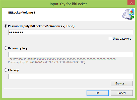 Input password to decrypt EFS or Bitlocker volume